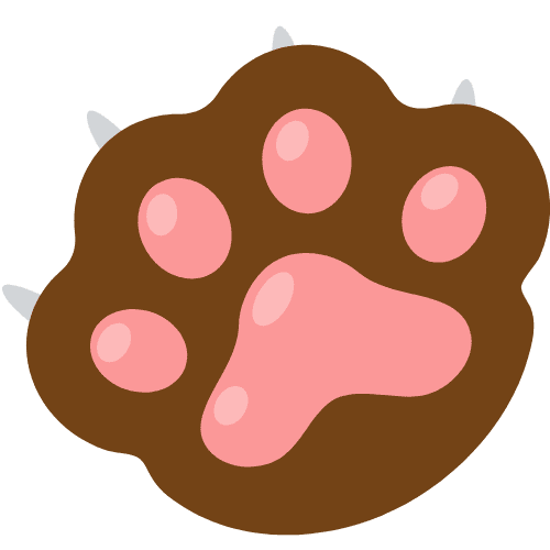 pattes chat (1)